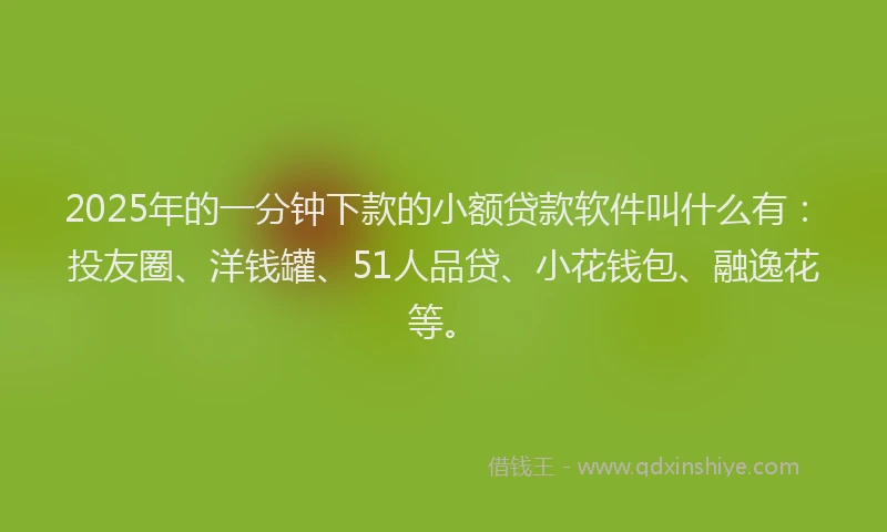 2025年的一分钟下款的小额贷款软件叫什么有：投友圈、洋钱罐、51人品贷、小花钱包、融逸花等。