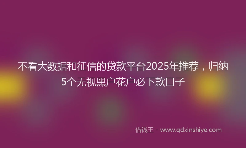 不看大数据和征信的贷款平台2025年推荐，归纳5个无视黑户花户必下款口子