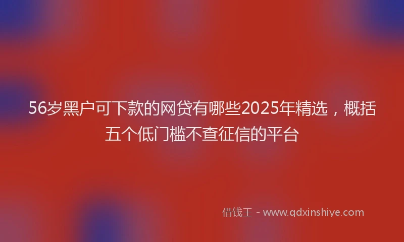 56岁黑户可下款的网贷有哪些2025年精选，概括五个低门槛不查征信的平台