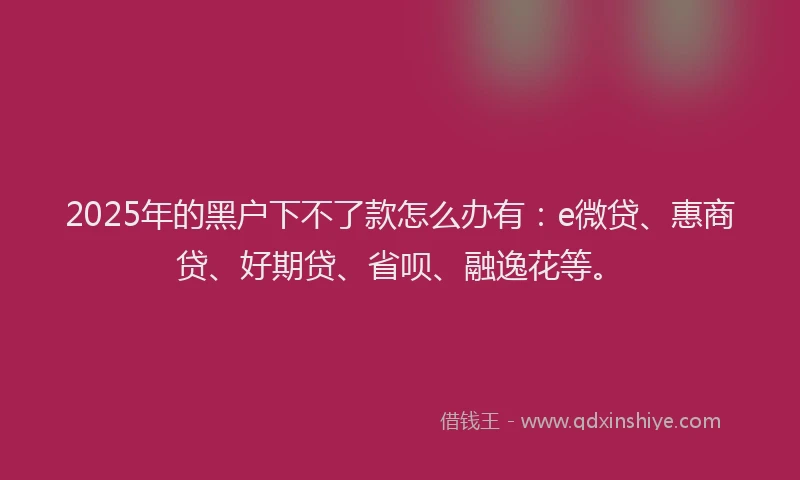 2025年的黑户下不了款怎么办有：e微贷、惠商贷、好期贷、省呗、融逸花等。