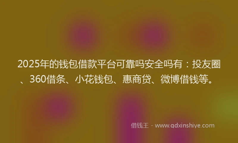 2025年的钱包借款平台可靠吗安全吗有：投友圈、360借条、小花钱包、惠商贷、微博借钱等。