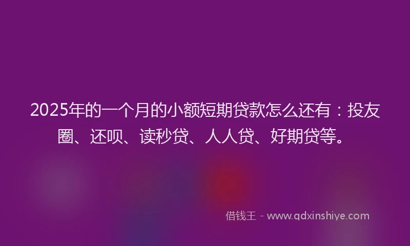2025年的一个月的小额短期贷款怎么还有：投友圈、还呗、读秒贷、人人贷、好期贷等。