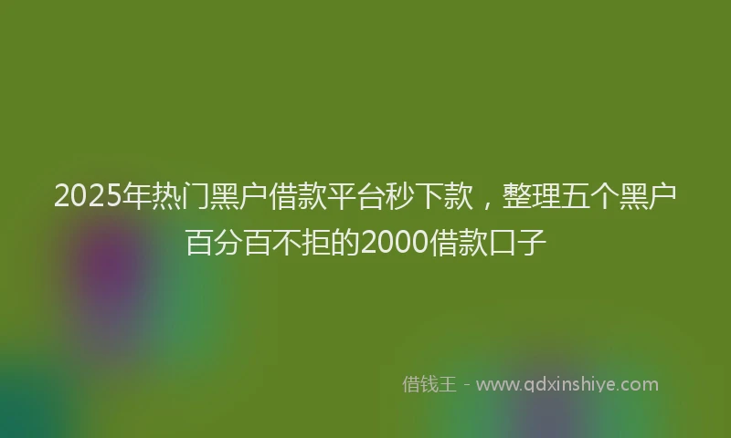2025年热门黑户借款平台秒下款，整理五个黑户百分百不拒的2000借款口子