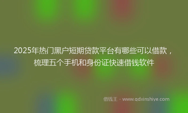 2025年热门黑户短期贷款平台有哪些可以借款，梳理五个手机和身份证快速借钱软件