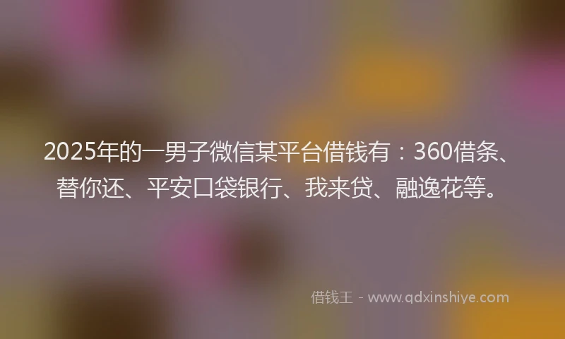 2025年的一男子微信某平台借钱有：360借条、替你还、平安口袋银行、我来贷、融逸花等。