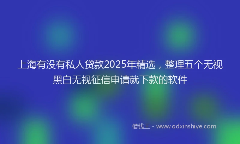 上海有没有私人贷款2025年精选，整理五个无视黑白无视征信申请就下款的软件