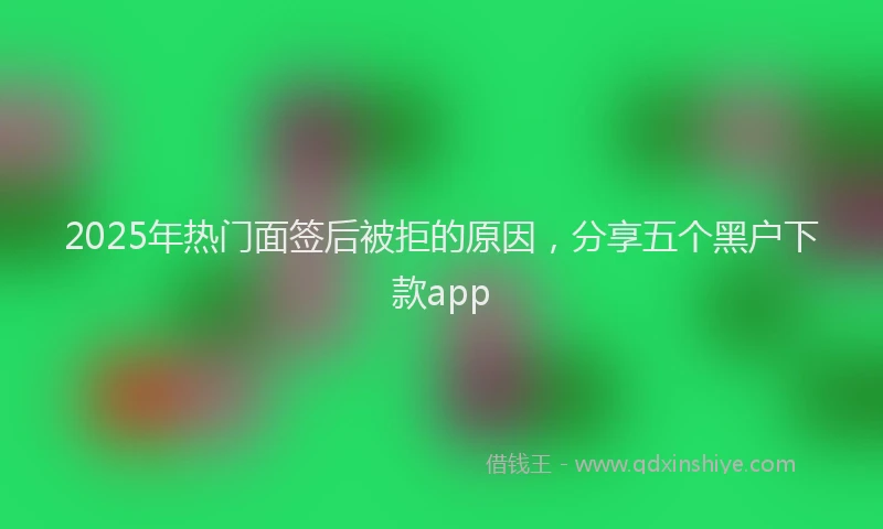 2025年热门面签后被拒的原因，分享五个黑户下款app