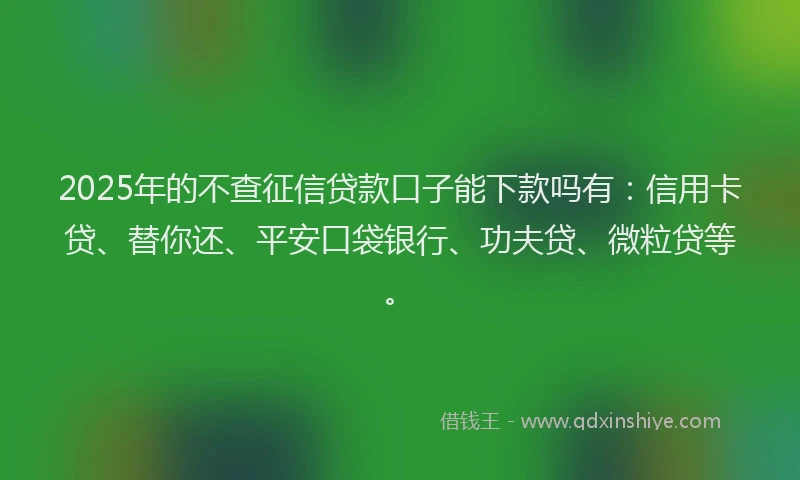 2025年的不查征信贷款口子能下款吗有：信用卡贷、替你还、平安口袋银行、功夫贷、微粒贷等。