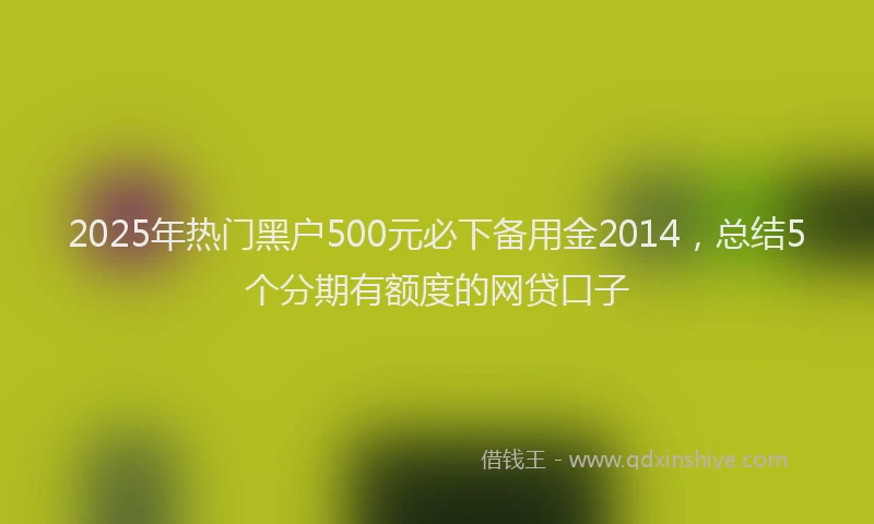 2025年热门黑户500元必下备用金2014，总结5个分期有额度的网贷口子