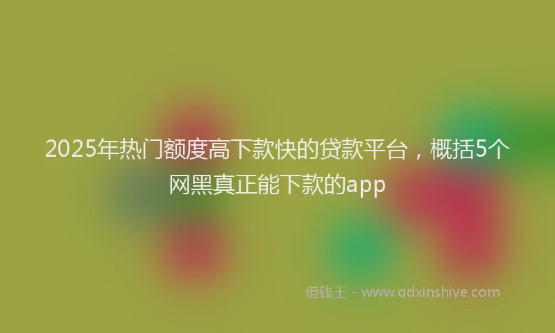 2025年热门额度高下款快的贷款平台，概括5个网黑真正能下款的app