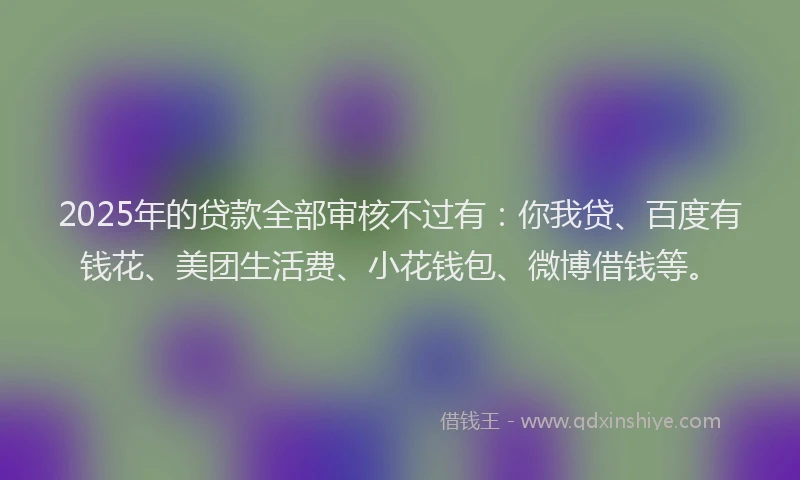 2025年的贷款全部审核不过有：你我贷、百度有钱花、美团生活费、小花钱包、微博借钱等。