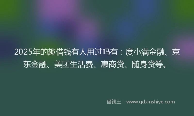 2025年的趣借钱有人用过吗有：度小满金融、京东金融、美团生活费、惠商贷、随身贷等。