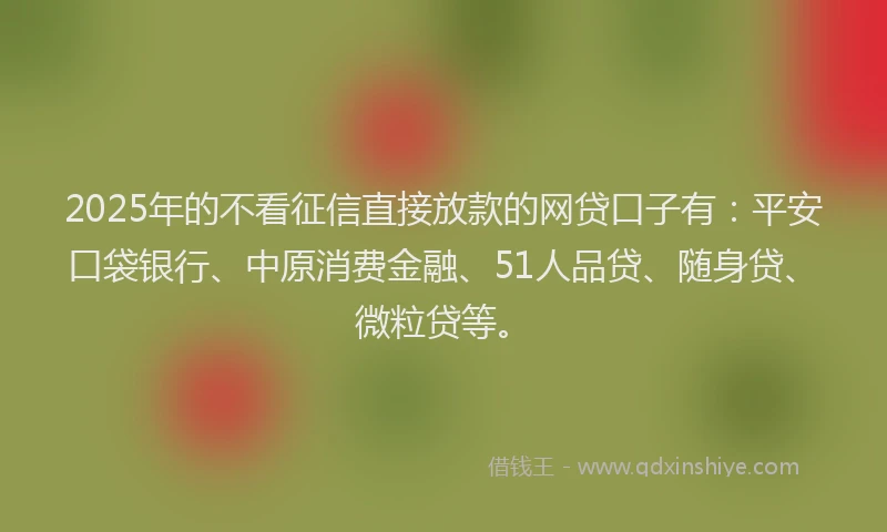 2025年的不看征信直接放款的网贷口子有：平安口袋银行、中原消费金融、51人品贷、随身贷、微粒贷等。