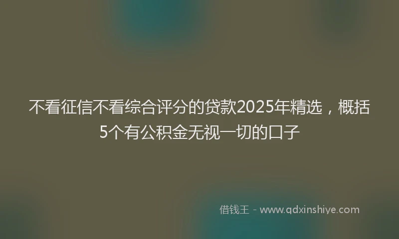不看征信不看综合评分的贷款2025年精选，概括5个有公积金无视一切的口子