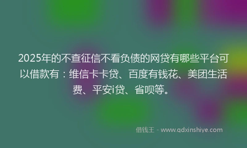 2025年的不查征信不看负债的网贷有哪些平台可以借款有：维信卡卡贷、百度有钱花、美团生活费、平安i贷、省呗等。