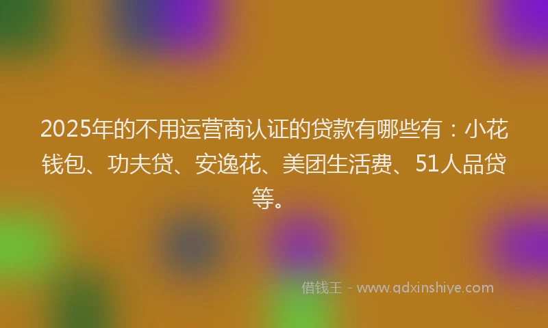 2025年的不用运营商认证的贷款有哪些有：小花钱包、功夫贷、安逸花、美团生活费、51人品贷等。