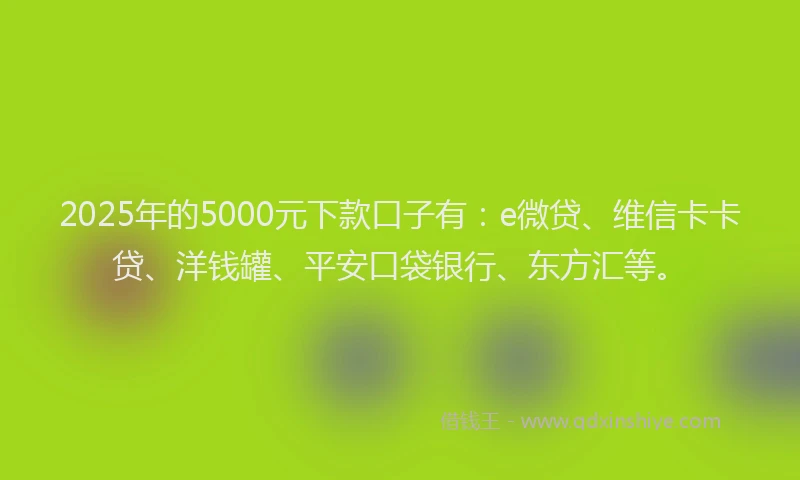 2025年的5000元下款口子有：e微贷、维信卡卡贷、洋钱罐、平安口袋银行、东方汇等。