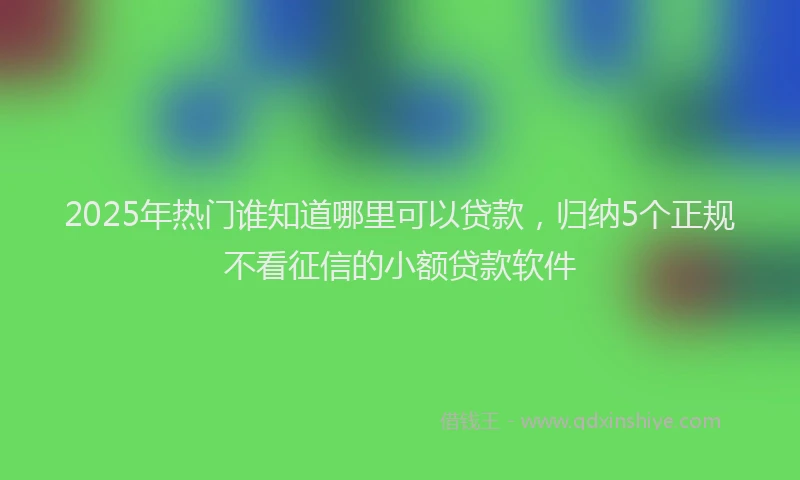 2025年热门谁知道哪里可以贷款，归纳5个正规不看征信的小额贷款软件