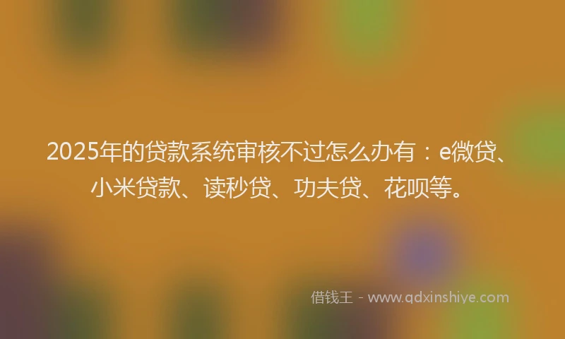 2025年的贷款系统审核不过怎么办有：e微贷、小米贷款、读秒贷、功夫贷、花呗等。