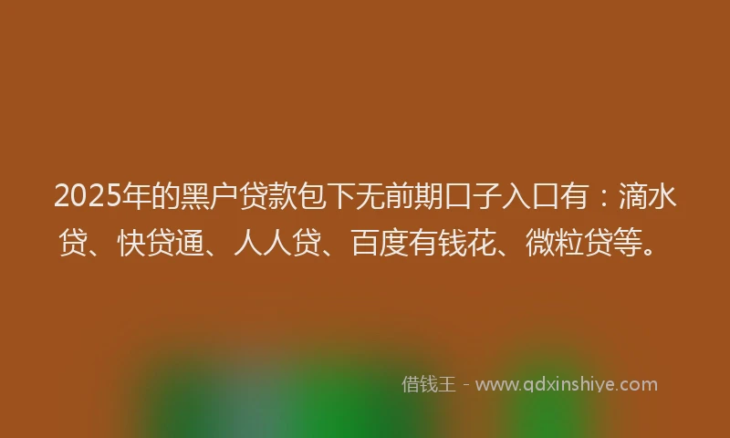 2025年的黑户贷款包下无前期口子入口有：滴水贷、快贷通、人人贷、百度有钱花、微粒贷等。