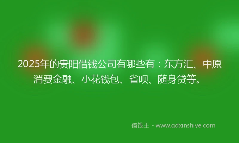 2025年的贵阳借钱公司有哪些有：东方汇、中原消费金融、小花钱包、省呗、随身贷等。