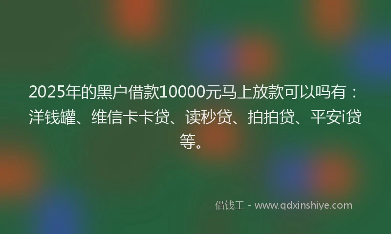 2025年的黑户借款10000元马上放款可以吗有：洋钱罐、维信卡卡贷、读秒贷、拍拍贷、平安i贷等。