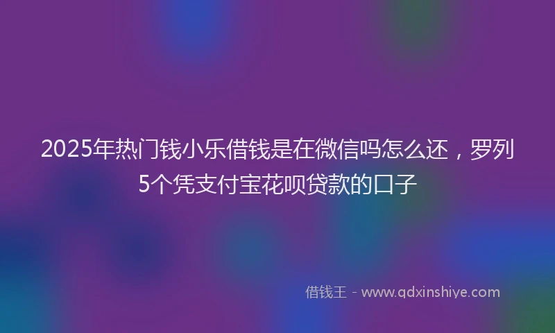 2025年热门钱小乐借钱是在微信吗怎么还，罗列5个凭支付宝花呗贷款的口子