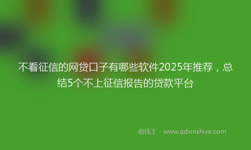 不看征信的网贷口子有哪些软件2025年推荐，总结5个不上征信报告的贷款平台