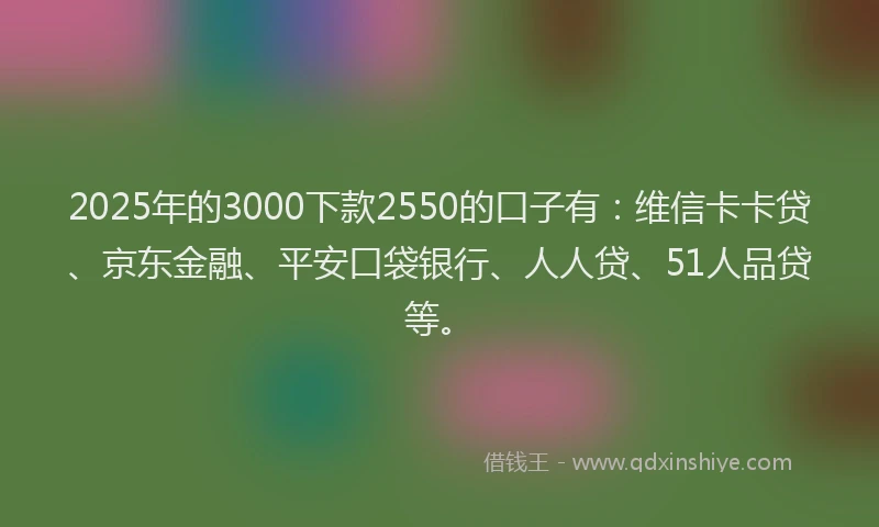 2025年的3000下款2550的口子有：维信卡卡贷、京东金融、平安口袋银行、人人贷、51人品贷等。