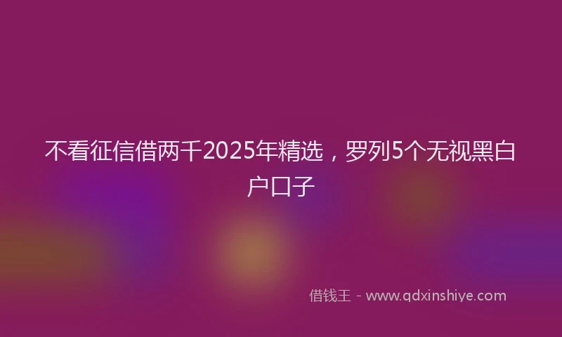 不看征信借两千2025年精选，罗列5个无视黑白户口子