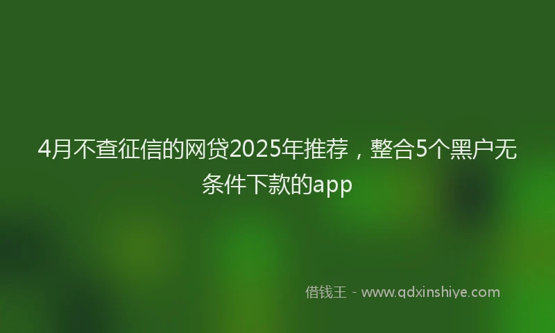 4月不查征信的网贷2025年推荐，整合5个黑户无条件下款的app
