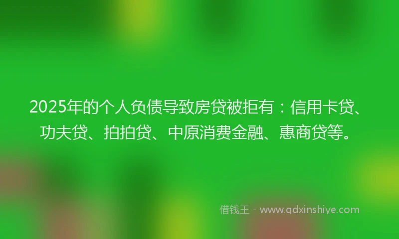2025年的个人负债导致房贷被拒有：信用卡贷、功夫贷、拍拍贷、中原消费金融、惠商贷等。