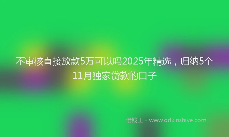 不审核直接放款5万可以吗2025年精选，归纳5个11月独家贷款的口子