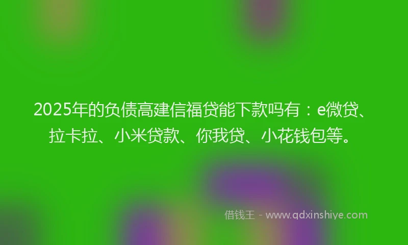 2025年的负债高建信福贷能下款吗有：e微贷、拉卡拉、小米贷款、你我贷、小花钱包等。