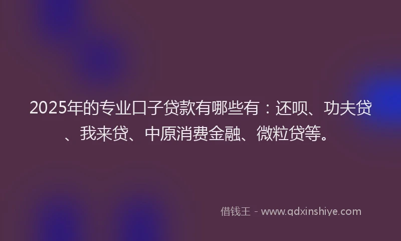 2025年的专业口子贷款有哪些有：还呗、功夫贷、我来贷、中原消费金融、微粒贷等。