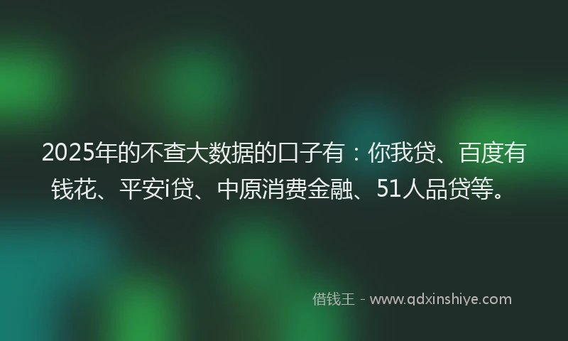 2025年的不查大数据的口子有：你我贷、百度有钱花、平安i贷、中原消费金融、51人品贷等。