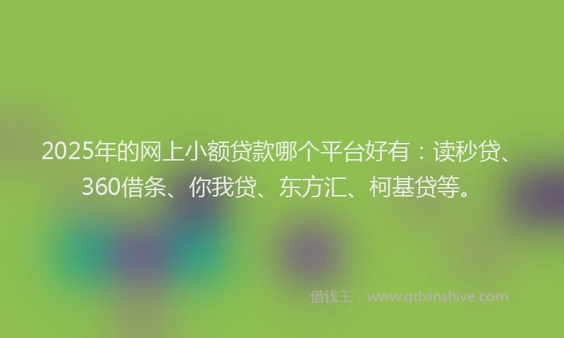 2025年的网上小额贷款哪个平台好有：读秒贷、360借条、你我贷、东方汇、柯基贷等。