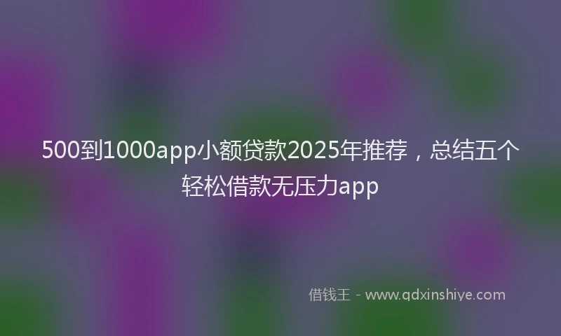 500到1000app小额贷款2025年推荐，总结五个轻松借款无压力app