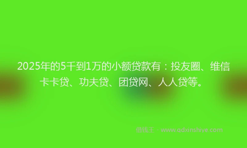 2025年的5千到1万的小额贷款有：投友圈、维信卡卡贷、功夫贷、团贷网、人人贷等。