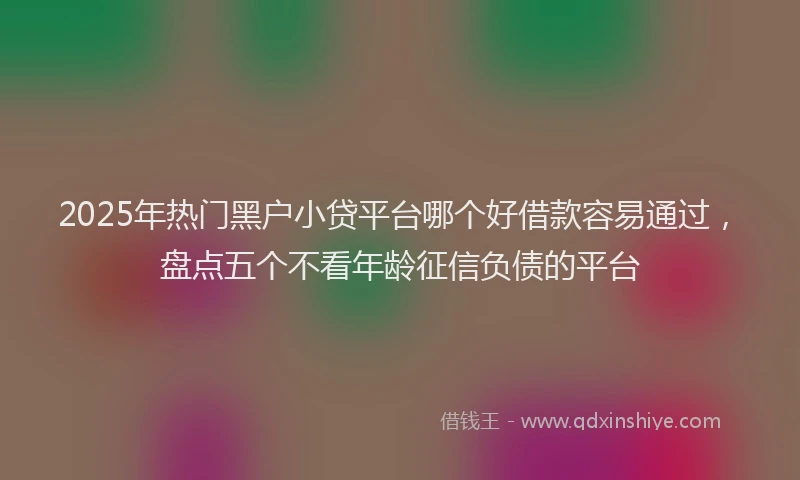 2025年热门黑户小贷平台哪个好借款容易通过，盘点五个不看年龄征信负债的平台
