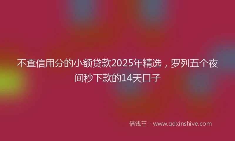 不查信用分的小额贷款2025年精选，罗列五个夜间秒下款的14天口子