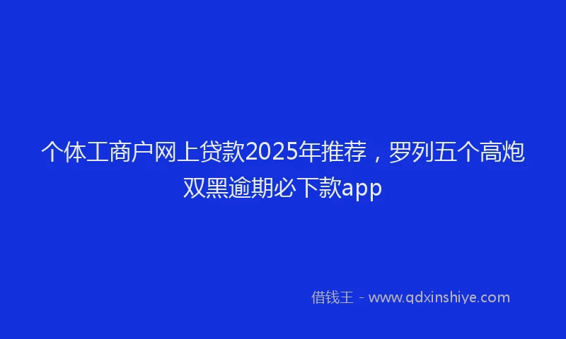 个体工商户网上贷款2025年推荐，罗列五个高炮双黑逾期必下款app