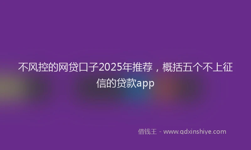 不风控的网贷口子2025年推荐，概括五个不上征信的贷款app