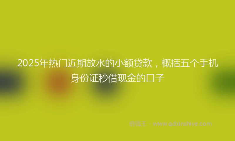 2025年热门近期放水的小额贷款，概括五个手机身份证秒借现金的口子