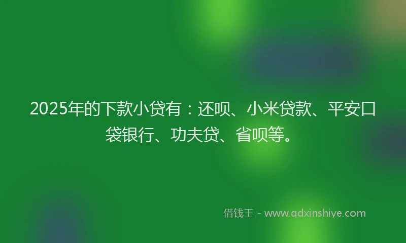 2025年的下款小贷有：还呗、小米贷款、平安口袋银行、功夫贷、省呗等。