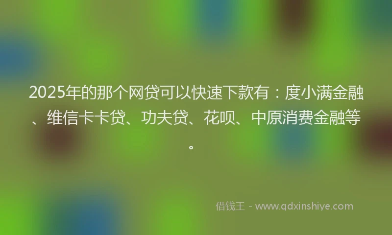 2025年的那个网贷可以快速下款有：度小满金融、维信卡卡贷、功夫贷、花呗、中原消费金融等。