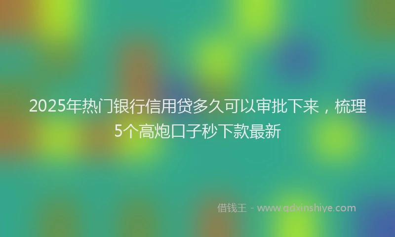 2025年热门银行信用贷多久可以审批下来，梳理5个高炮口子秒下款最新