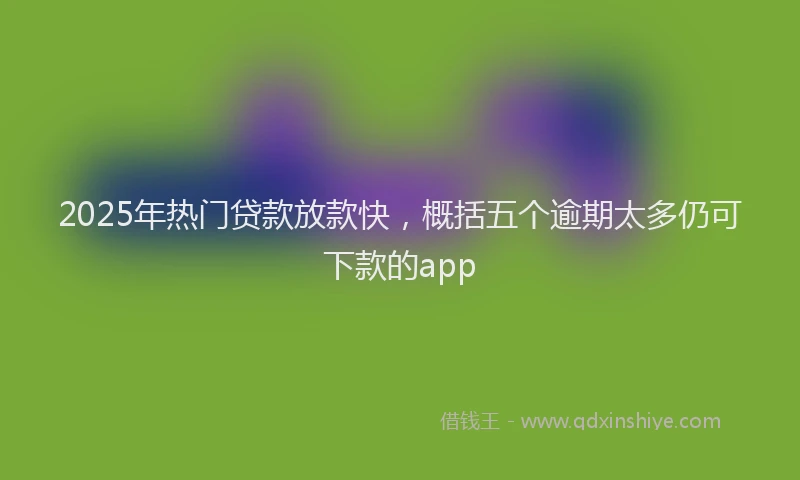 2025年热门贷款放款快，概括五个逾期太多仍可下款的app