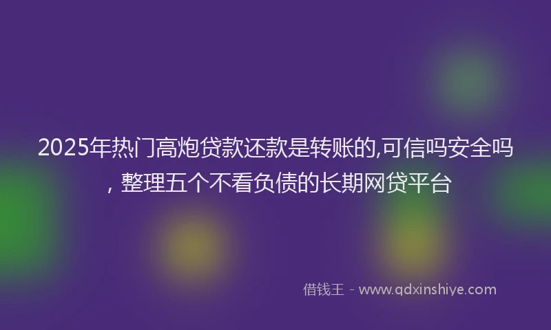 2025年热门高炮贷款还款是转账的,可信吗安全吗，整理五个不看负债的长期网贷平台