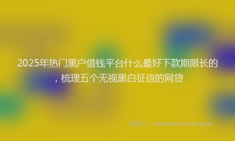 2025年热门黑户借钱平台什么最好下款期限长的，梳理五个无视黑白征信的网贷